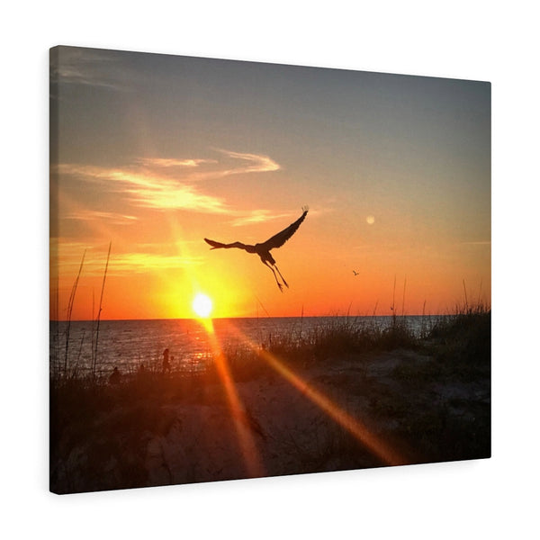 "Take Flight" Gallery Wrapped Canvas