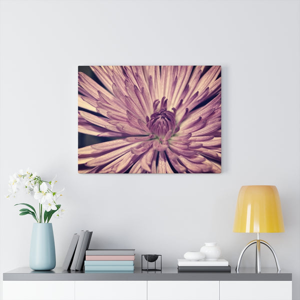 "Lavender Burst" Gallery Wrapped Canvas