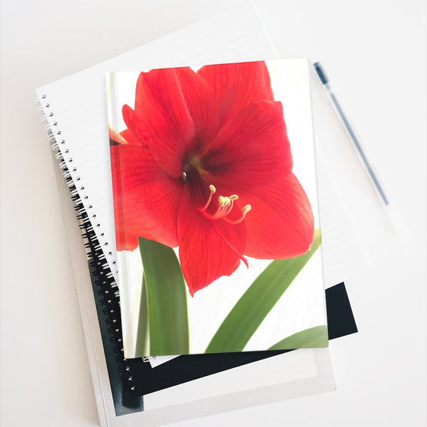 "Amaryllis Kiss" Journal - Ruled Line