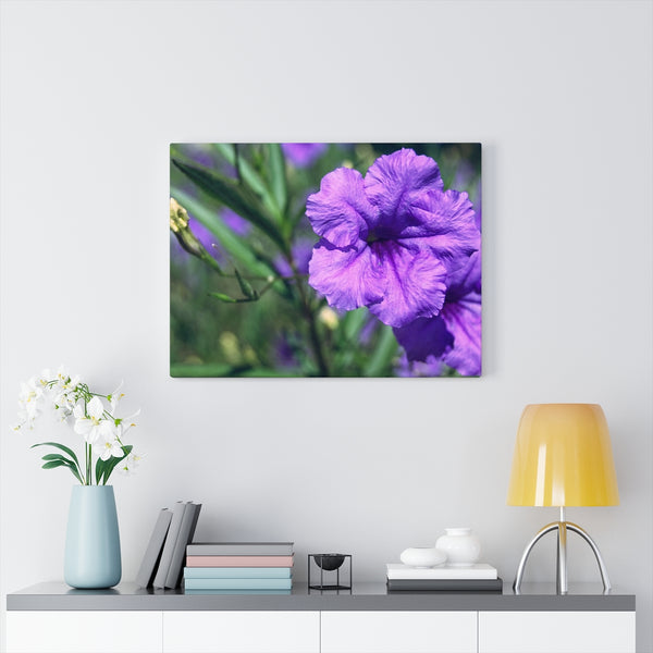 "Ruellia Lace" Gallery Wrapped Canvas