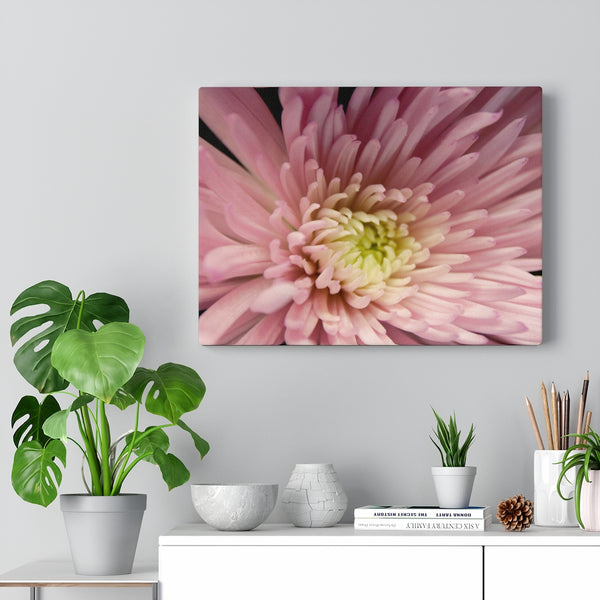 "Snuggle Up" Gallery Wrapped Canvas