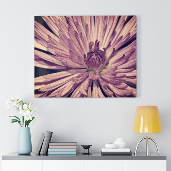 "Lavender Burst" Gallery Wrapped Canvas