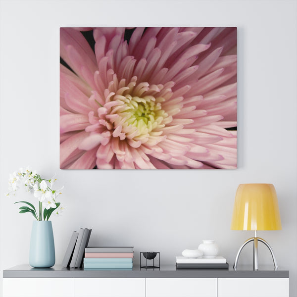 "Snuggle Up" Gallery Wrapped Canvas