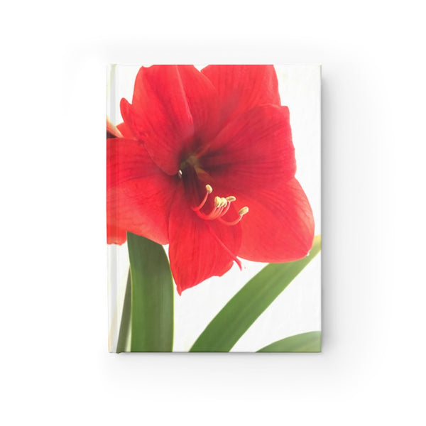 "Amaryllis Kiss" Journal - Ruled Line