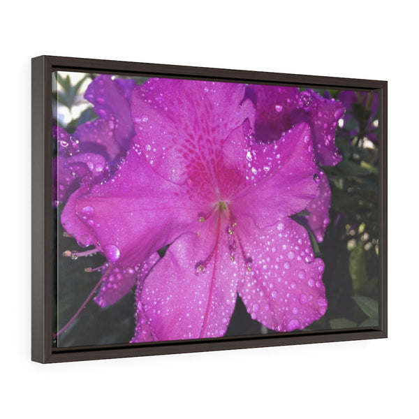 "Azalea Dreams" Framed Premium Gallery Wrap Canvas