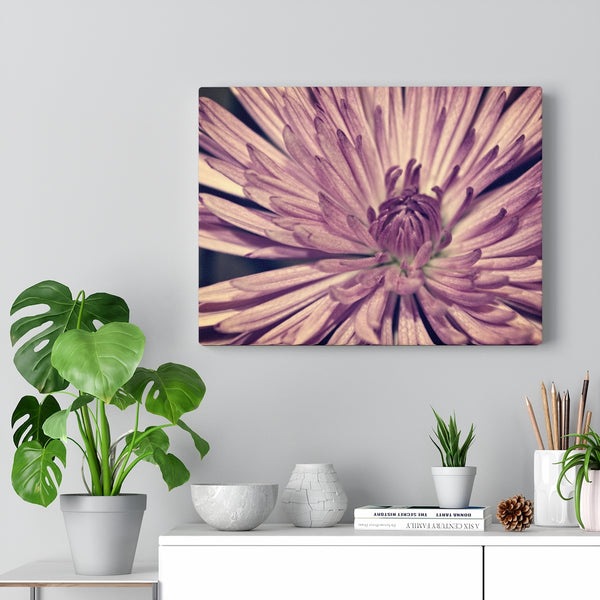 "Lavender Burst" Gallery Wrapped Canvas