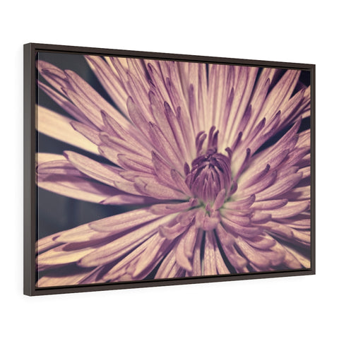 "Lavender Burst" Framed Premium Gallery Wrap Canvas