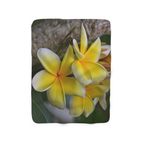 "My Sweet Plumeria" Sherpa Fleece Blanket