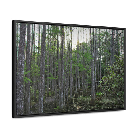 "17to18 Marsh" Framed Premium Gallery Wrap Canvas