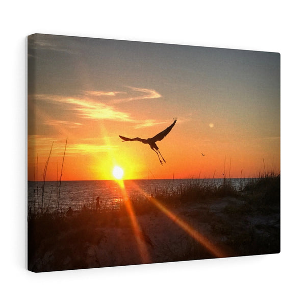 "Take Flight" Gallery Wrapped Canvas