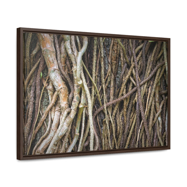 "Tree Veins" 24"x16" Framed Premium Gallery Wrap Canvas