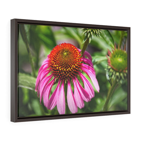 "Fuchsia Cone"  Framed Premium Gallery Wrap Canvas