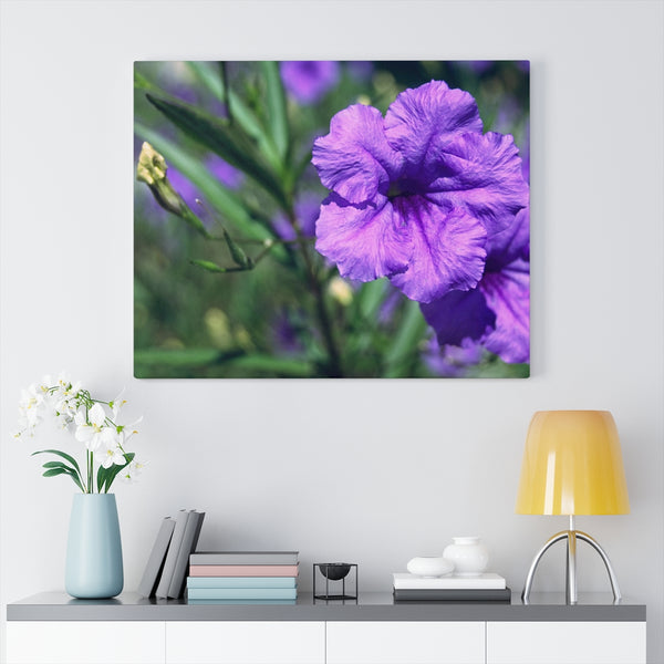 "Ruellia Lace" Gallery Wrapped Canvas