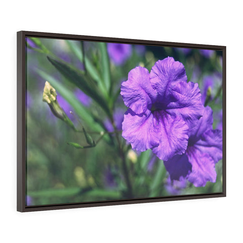 "Ruellia Lace" Framed Premium Gallery Wrap Canvas