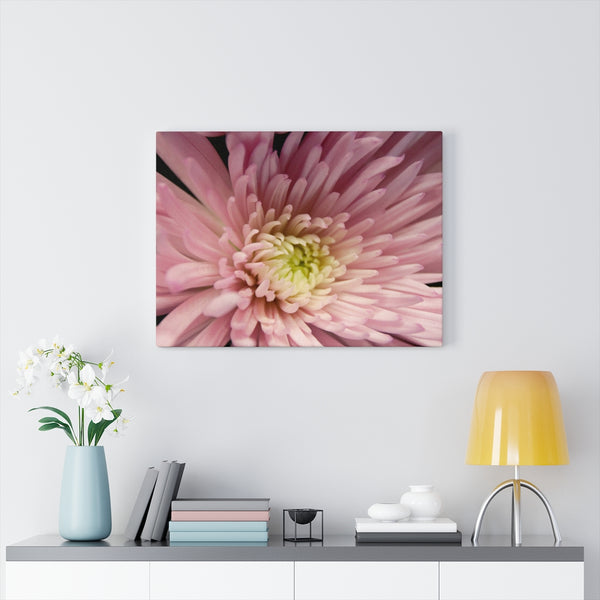 "Snuggle Up" Gallery Wrapped Canvas