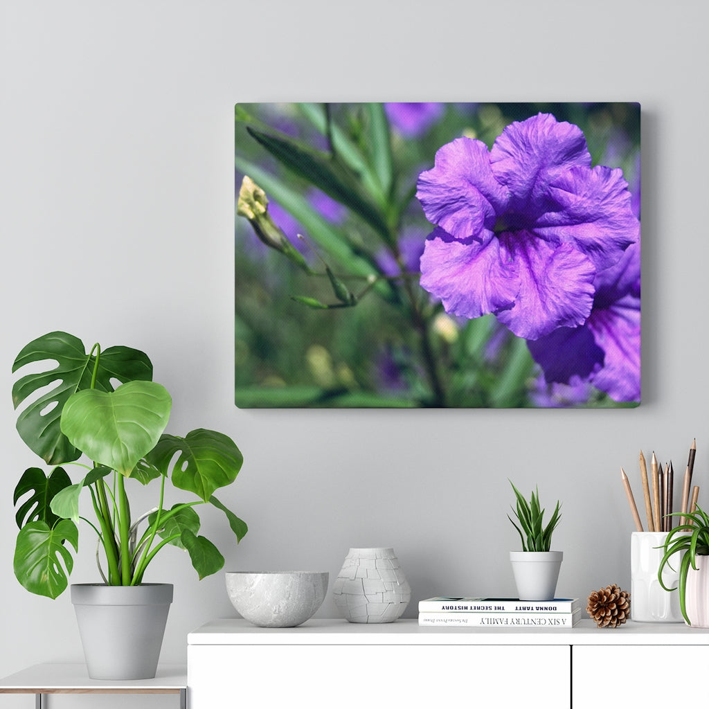 "Ruellia Lace" Gallery Wrapped Canvas