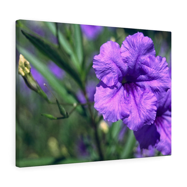 "Ruellia Lace" Gallery Wrapped Canvas