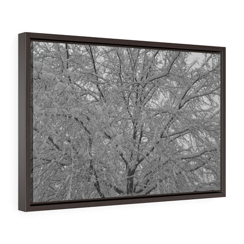 "Snowy Trees" Framed Premium Gallery Wrap Canvas